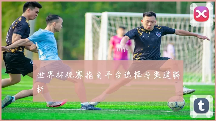 世界杯观赛指南平台选择与渠道解析