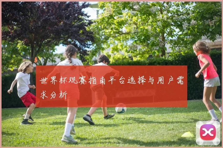 世界杯观赛指南平台选择与用户需求分析