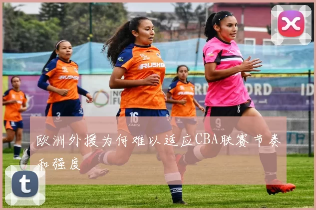 欧洲外援为何难以适应CBA联赛节奏和强度