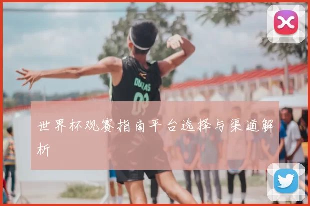 世界杯观赛指南平台选择与渠道解析