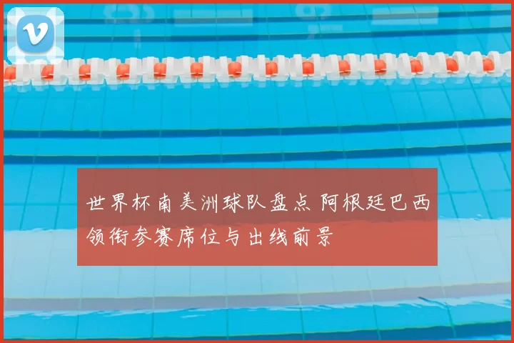 世界杯南美洲球队盘点 阿根廷巴西领衔参赛席位与出线前景