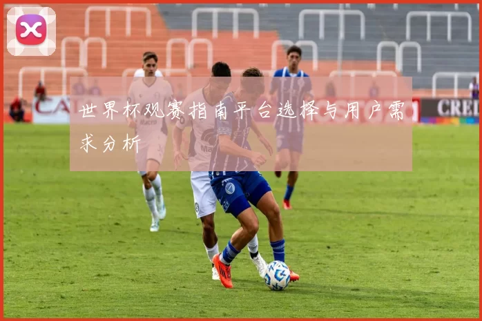 世界杯观赛指南平台选择与用户需求分析