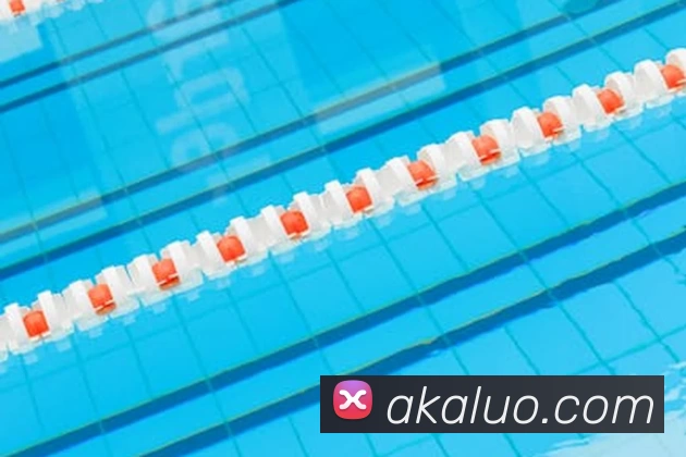 半岛在线登录入口平台生态图