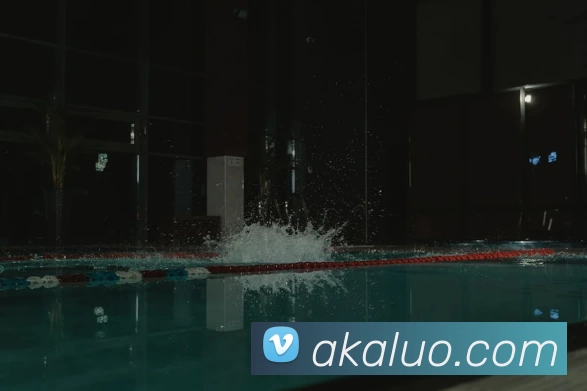 半岛在线登录入口全站App